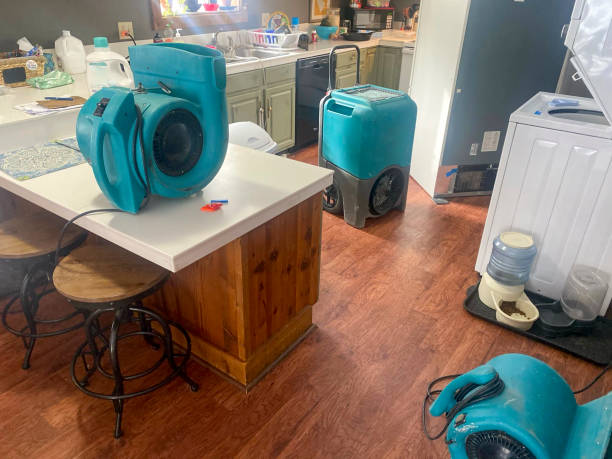 Best Flood damage cleanup  in Lithia Springs, GA
