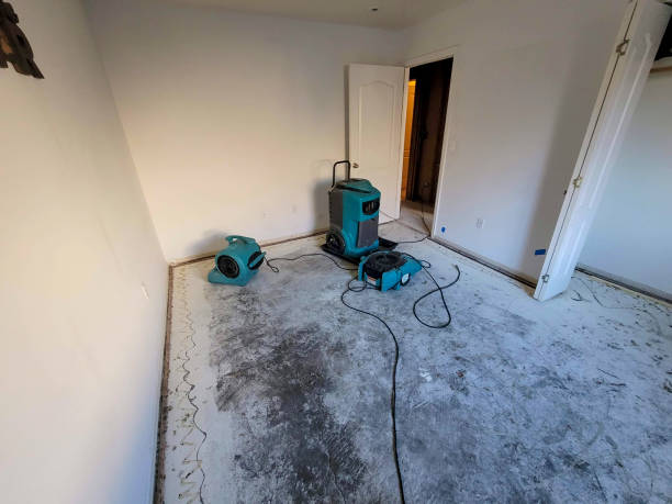 Best Flooded house restoration  in Lithia Springs, GA