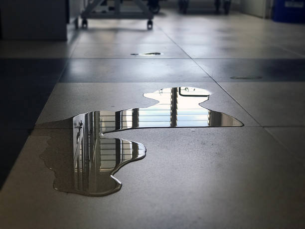 Best Water damage restoration near me  in Lithia Springs, GA
