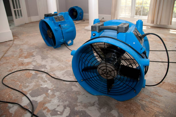 Best Residential water damage restoration  in Lithia Springs, GA